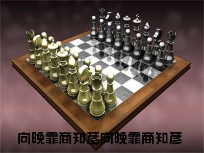 向晚霏商知彦（向晚霏商知彦）全文免费阅读无弹窗大结局_向晚霏商知彦免费阅读无弹窗最新章节列表