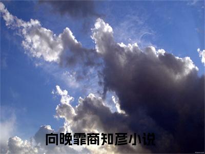 向晚霏商知彦独家小说向晚霏商知彦-向晚霏商知彦无删版小说推荐