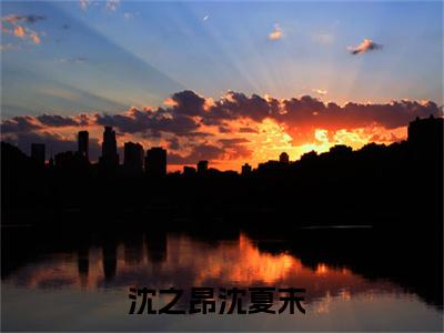 沈之昂沈夏末（沈之昂沈夏末）全文免费阅读无弹窗大结局_沈之昂沈夏末最新章节列表笔趣阁