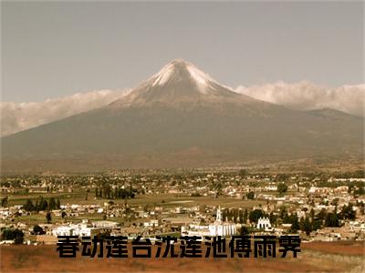 春动莲台免费版最新更新阅读-沈莲池傅雨霁小说全文在线阅读