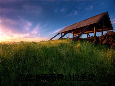 沈莲池傅雨霁免费阅读（春动莲台）完整版全文全章节阅读（春动莲台免费+番外）