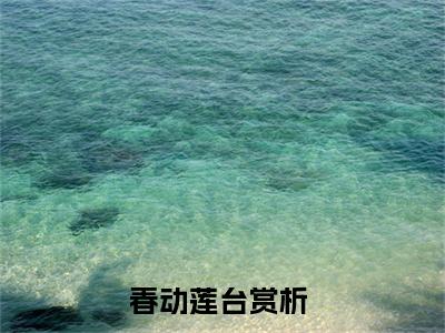 沈莲池傅雨霁全文免费在线阅读_（春动莲台全文免费阅读无弹窗大结局）沈莲池傅雨霁最新章节列表_笔趣阁