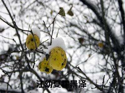 江幼夏霍景泽（江幼夏霍景泽）小说免费阅读完结版-江幼夏霍景泽小说全文免费阅读