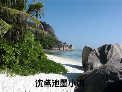 沈鸢池墨小说全文免费阅读-（沈鸢池墨）抖音新书热荐沈鸢池墨全文免费阅读（沈鸢池墨番外+免费）