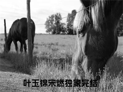 叶玉锦宋燃免费阅读（叶玉锦宋燃）全文免费阅读无弹窗大结局_叶玉锦宋燃免费阅读最新章节列表_笔趣阁