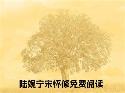 陆婉宁宋怀修全文免费阅读_陆婉宁宋怀修无弹窗最新章节