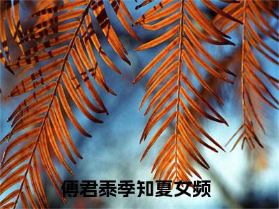 傅君泰季知夏全文免费阅读（傅君泰季知夏免费阅读无弹窗）傅君泰季知夏最新章节列表_笔趣阁