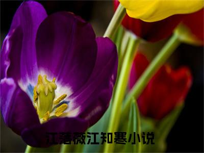 江落薇江知寒（江落薇江知寒）全文免费阅读江落薇江知寒最新章节小说免费阅读_笔趣阁