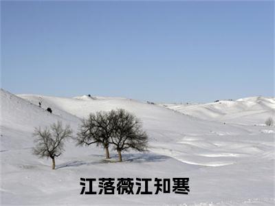 好看的小说推荐江落薇江知寒 江落薇江知寒全文试读免费大结局