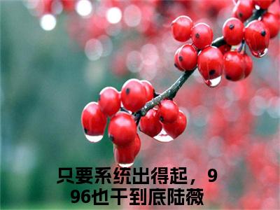 只要系统出得起，996也干到底陆薇小说(只要系统出得起，996也干到底陆薇)全文免费阅读无弹窗大结局_(只要系统出得起，996也干到底陆薇小说免费阅读)只要系统出得起，996也干到底陆薇无弹窗最新章节列表_笔趣阁（只要系统出得起，996也干到底陆薇）