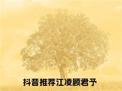 江凌顾君予全文免费阅读无弹窗大结局_（江凌顾君予）江凌顾君予最新章节列表_笔趣阁（江凌顾君予）