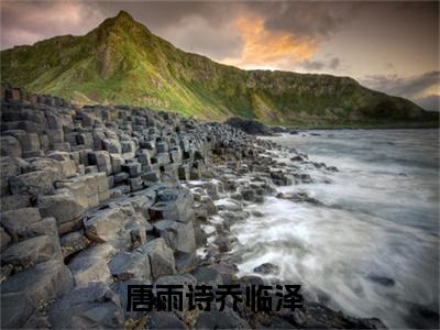 唐雨诗乔临泽小说(唐雨诗乔临泽)全文免费阅读无弹窗大结局_(唐雨诗乔临泽小说免费阅读)唐雨诗乔临泽无弹窗最新章节列表_笔趣阁（唐雨诗乔临泽）