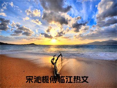 抖音热推高点击小说（宋沁栀傅临江）在线阅读-宋沁栀傅临江无广告阅读