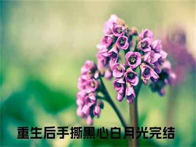 重生后手撕黑心白月光（沈心月沈言）全文免费阅读_重生后手撕黑心白月光（沈心月沈言）免费在线阅读_笔趣阁