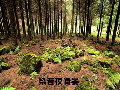 梁音夜闻晏小说（梁音夜闻晏）全文免费阅读无弹窗-梁音夜闻晏最新章节列表-笔趣阁