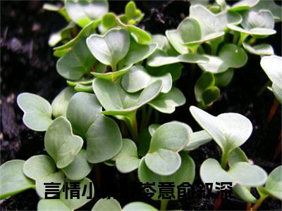 舒岑意俞叙深小说全文免费阅读无弹窗大结局_(舒岑意俞叙深)舒岑意俞叙深最新章节列表笔趣阁（舒岑意俞叙深）