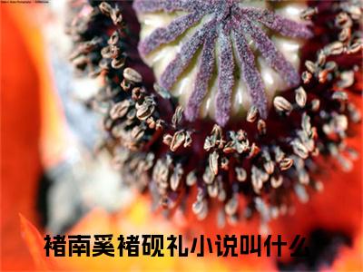 褚南奚褚砚礼（褚南奚褚砚礼）全文免费阅读无弹窗大结局_（褚南奚褚砚礼全文）褚南奚褚砚礼最新章节列表笔趣阁（褚南奚褚砚礼）