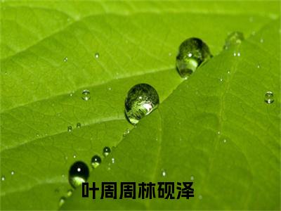 主角为叶周周林砚泽的小说（叶周周林砚泽）无弹窗大结局-最新小说叶周周林砚泽全文阅读最新章节列表_笔趣阁