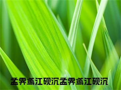 孟霁鸢江砚沉全文免费阅读大结局孟霁鸢江砚沉小说最新章节阅读无弹窗