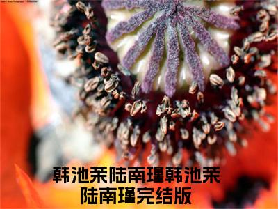 韩池茉陆南瑾（韩池茉陆南瑾）全文免费阅读无弹窗大结局_韩池茉陆南瑾最新章节列表_笔趣阁（韩池茉陆南瑾）