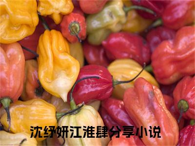 沈纾妍江淮肆（沈纾妍江淮肆）全文在线阅读无弹窗大结局_（沈纾妍江淮肆全文在线阅读无弹窗）沈纾妍江淮肆最新章节列表_笔趣阁（沈纾妍江淮肆）