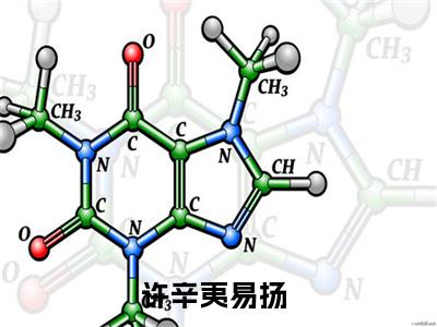 许辛夷易扬（许辛夷易扬）小说全文免费阅读-许辛夷易扬免费阅读完整版