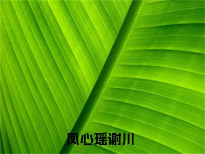 凤心瑶谢川（凤心瑶谢川）小说全文在线阅读_凤心瑶谢川最新章节在线阅读_笔趣阁