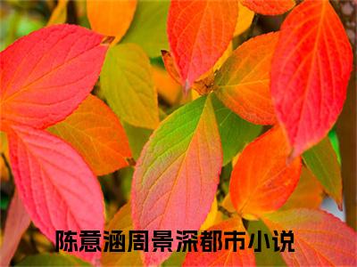 陈意涵周景深（陈意涵周景深）全文完整版免费阅读_（陈意涵周景深小说免费阅读）最新章节列表