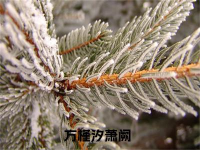 方槿汐萧阙(方槿汐萧阙)全文免费阅读最新章节大结局_ 方槿汐萧阙全文免费阅读最新章节列表_笔趣阁