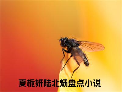 夏栀妍陆北炀小说（夏栀妍陆北炀全文完整版免费阅读）_夏栀妍陆北炀小说免费最新章节列表