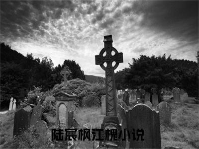 陆宸枫江槐全文小说（陆宸枫江槐）全文阅读-陆宸枫江槐在线小说免费阅读