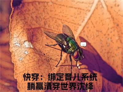 快穿：绑定育儿系统躺赢清穿世界沈绛全文免费阅读无弹窗大结局-快穿：绑定育儿系统躺赢清穿世界沈绛全文在线阅读