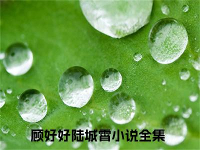 顾好好陆城霄（顾好好陆城霄）全文免费阅读无弹窗大结局_（顾好好陆城霄小说全文免费阅读）顾好好陆城霄最新章节列表笔趣阁（顾好好陆城霄）