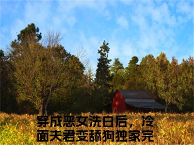 穿成恶女洗白后，冷面夫君变舔狗（孟佟裴君牧）全文阅读完整版_孟佟裴君牧小说免费阅读大结局（穿成恶女洗白后，冷面夫君变舔狗）