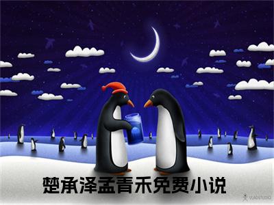 楚承泽孟青禾（楚承泽孟青禾txt）全文免费阅读无弹窗大结局_楚承泽孟青禾最新章节列表_笔趣阁（楚承泽孟青禾txt）