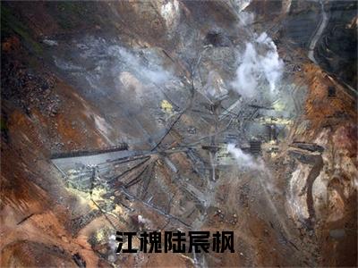 江槐陆宸枫（江槐陆宸枫）全文免费阅读（江槐陆宸枫）小说无弹窗阅读