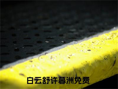 白云舒许暮洲人气小说全本免费阅读