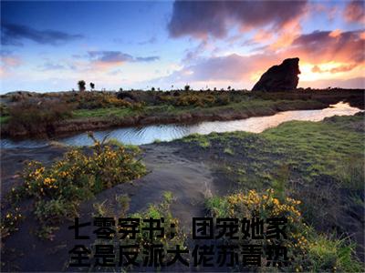 七零穿书：团宠她家全是反派大佬苏青(七零穿书：团宠她家全是反派大佬苏青)全文免费阅读无弹窗大结局_七零穿书：团宠她家全是反派大佬苏青最新章节列表