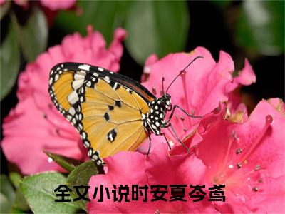 时安夏岑鸢完结版阅读《时安夏岑鸢》最新章节目录好书推荐_(时安夏岑鸢)