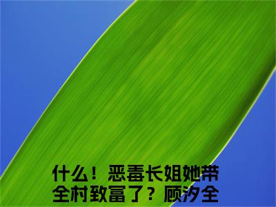 什么！恶毒长姐她带全村致富了？顾汐免费阅读无弹窗最新章节列表_笔趣阁(什么！恶毒长姐她带全村致富了？顾汐)