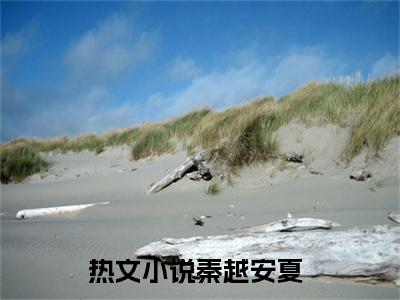 秦越安夏（秦越安夏）全文免费阅读大结局-秦越安夏小说全文免费阅读最新章节列表