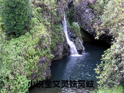 灵姝冥岐(灵姝冥岐)抖音热推小说全集无删减_(灵姝冥岐免费阅读全文大结局)最新章节列表_笔趣阁