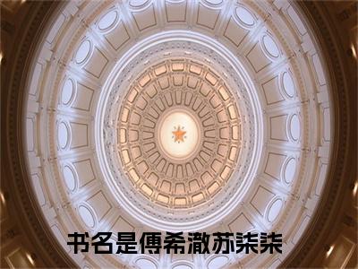 傅希澈苏柒柒小说（傅希澈苏柒柒）全文免费阅读无弹窗大结局_傅希澈苏柒柒全文免费完结版阅读（傅希澈苏柒柒）