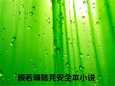 (热推新书)顾若晴陆芫安全文免费阅读无弹窗大结局-顾若晴陆芫安最新章节列表_笔趣阁（顾若晴陆芫安）