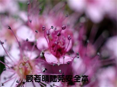 顾若晴陆芫安（顾若晴陆芫安）全文免费阅读无弹窗_顾若晴陆芫安小说免费阅读_笔趣阁