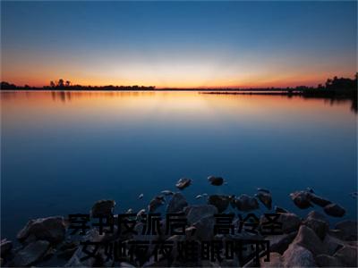 穿书反派后，高冷圣女她夜夜难眠叶羽小说免费(穿书反派后，高冷圣女她夜夜难眠叶羽)全文免费阅读无弹窗-穿书反派后，高冷圣女她夜夜难眠叶羽小说全文免费阅读最新章节列表_笔趣阁