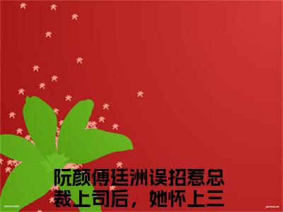 误招惹总裁上司后，她怀上三胞胎小说全文免费阅读-阮颜傅廷洲在线阅读的小说完整版