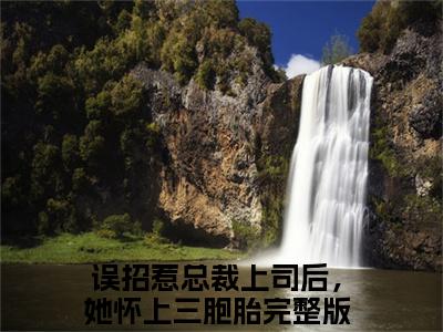 误招惹总裁上司后，她怀上三胞胎无广告小说（阮颜傅廷洲）全文免费阅读无弹窗大结局-误招惹总裁上司后，她怀上三胞胎在线阅读