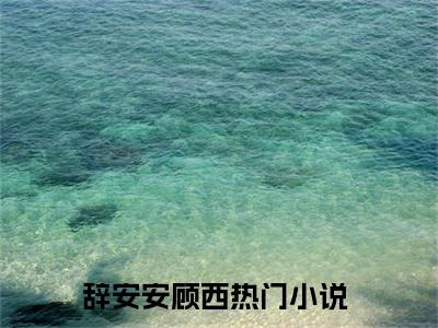 辞安安顾西多人追免费无弹窗小说，辞安安顾西已完结全集大结局