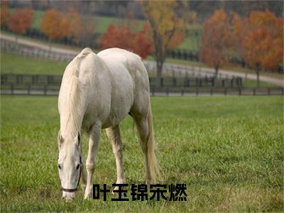 叶玉锦宋燃（叶玉锦宋燃）全文免费阅读无弹窗_叶玉锦宋燃最新小说_笔趣阁（叶玉锦宋燃）